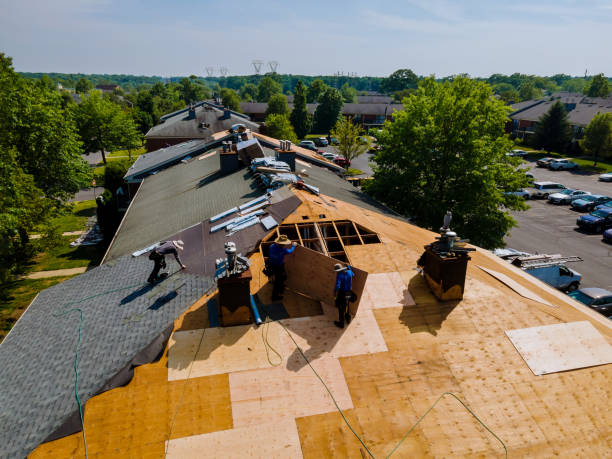 Trusted Roof Installation service in Union Hall, VA - Brentwood Metal Roofing